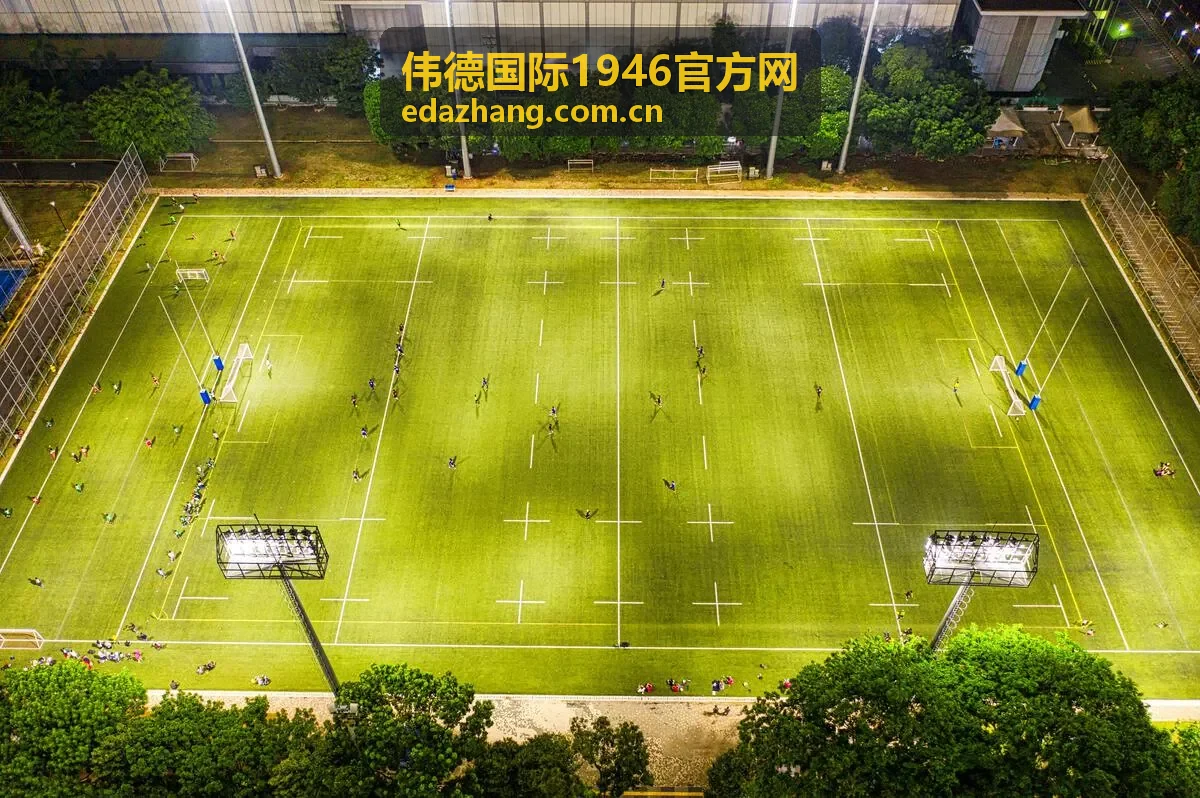 伟德国际1946官方网联系支持渠道说明配图